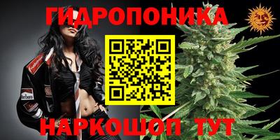 МДМА Кимры