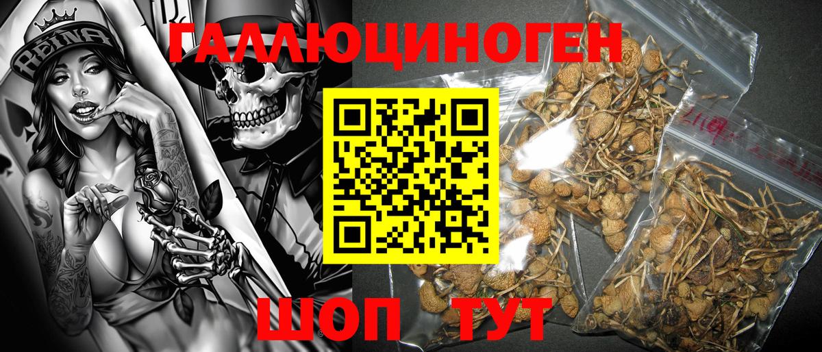 Кстово  КОКАИН  Канабис  Меф МЯУ МЯУ кристаллы  Вход с VPN  ГАШИШ 